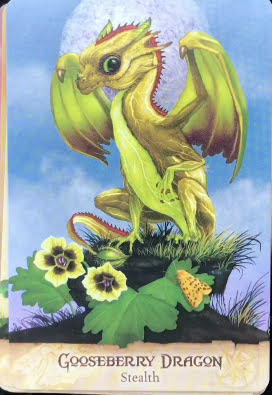 Field Guide to Garden Dragons